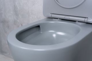 Унитаз подвесной Tornado Gid Tr2122TF-Lgm 62259Y серый матовый 49x36x36